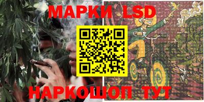 твердый Будённовск