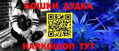 индика Беслан