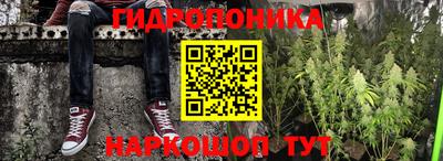 твердый Будённовск