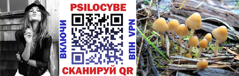 Галлюциногенные грибы GOLDEN TEACHER  Жуковский 