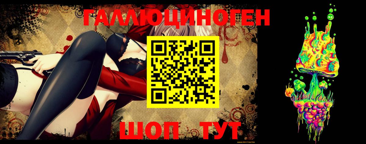 Псилоцибиновые грибы Psilocybe  Жуковский  Галлюциногенные грибы Psilocybe 