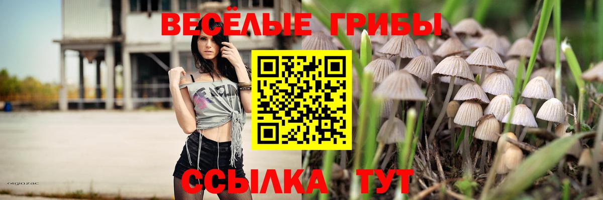 Галлюциногенные грибы мицелий Жуковский